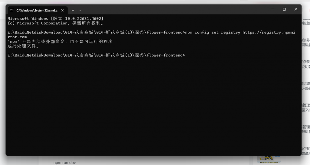 屏幕截图 2024-12-28 225441