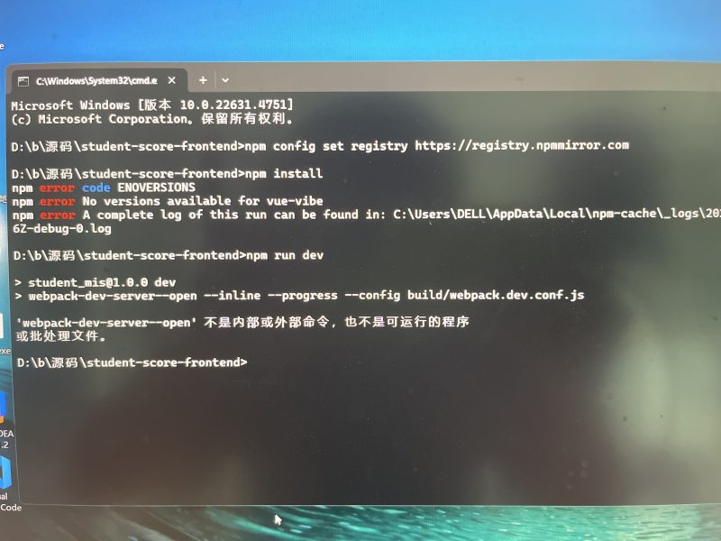 在运行前段时，前端报错-计算机毕设网-杭州水果捞
